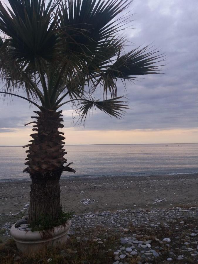 Sea View Apartments Aphrodite Leptokaryá Extérieur photo